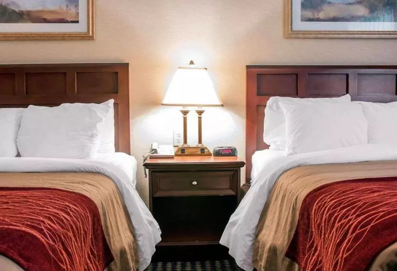 スタンダードルーム, Comfort Inn Livonia