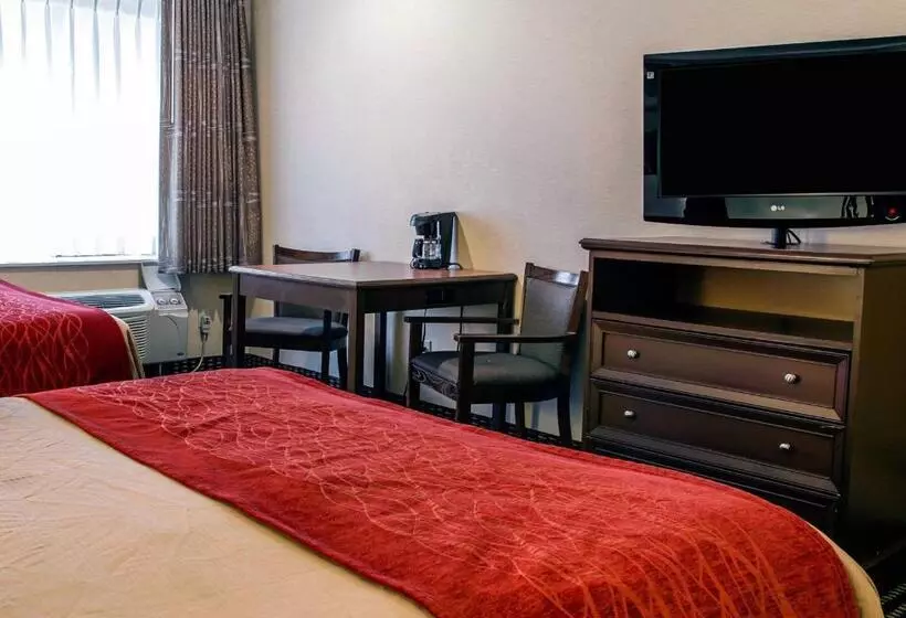 スタンダードルーム, Comfort Inn Livonia