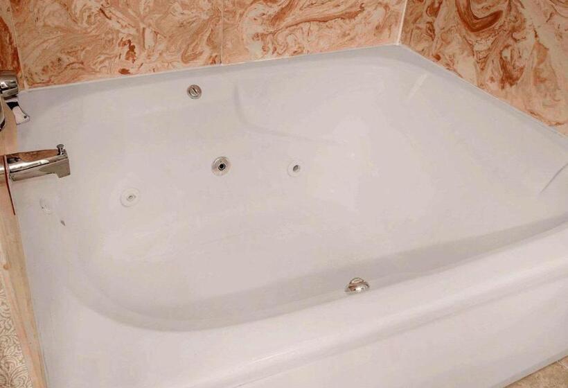 غرفة قياسية, Comfort Inn Livonia