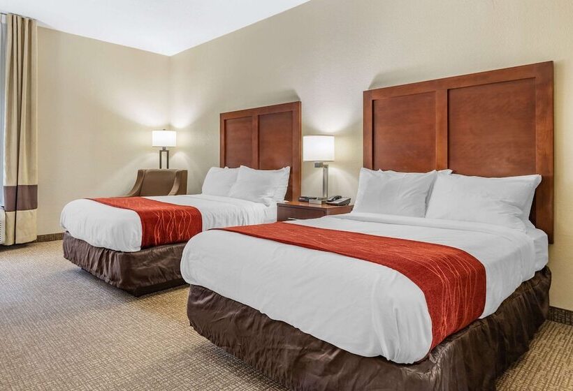 带2个双人床的标准工作室, Comfort Inn & Suites Clemson  University Area