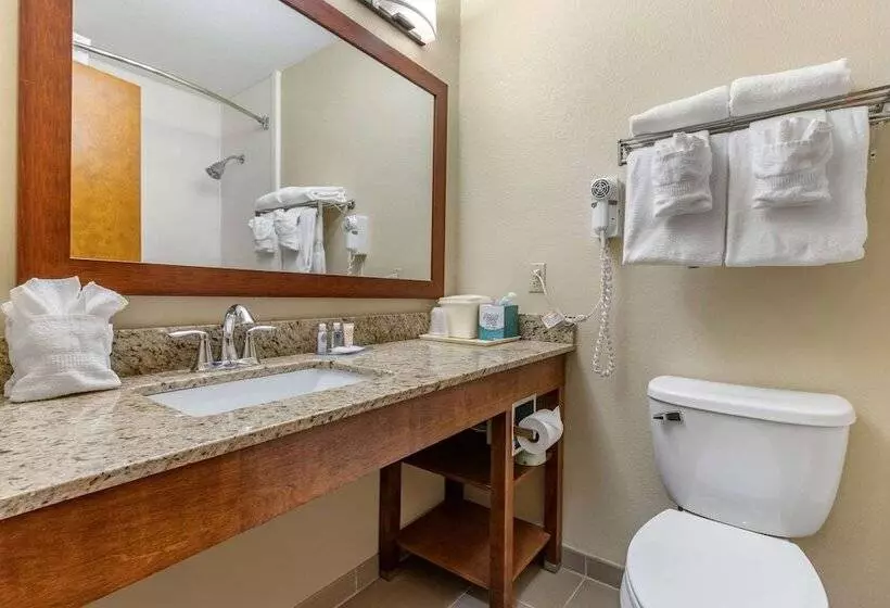 Standard-huone 2 Parivuodetta, Comfort Inn & Suites Clemson  University Area
