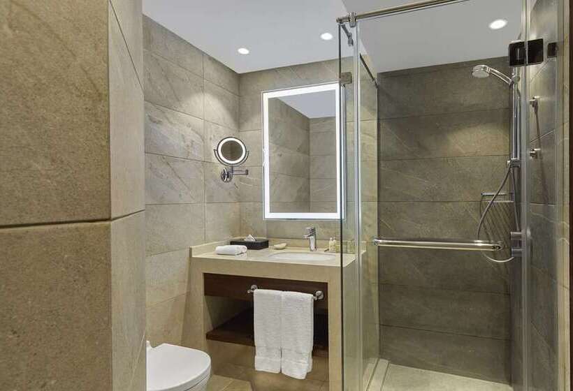 高级大房间, Hilton Budapest