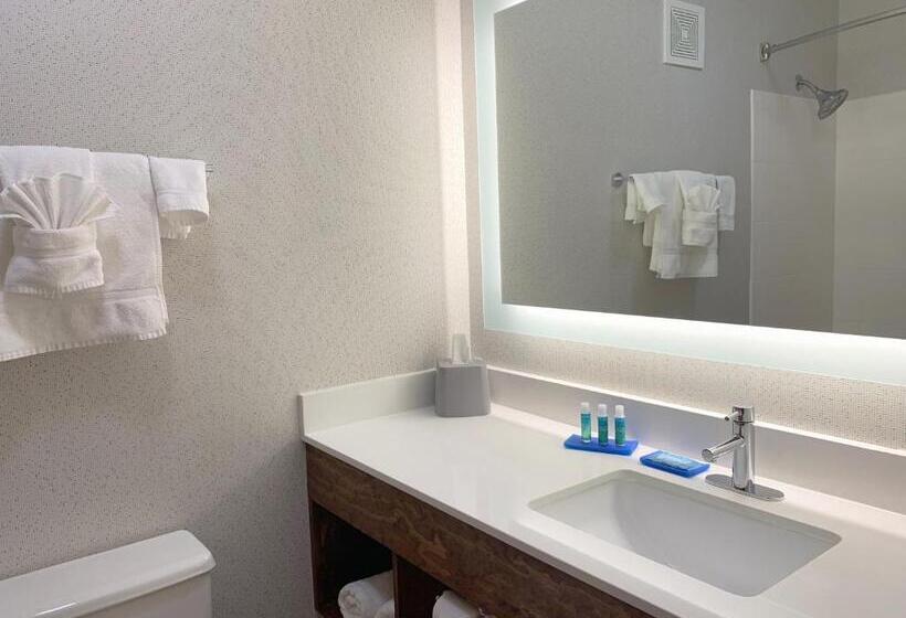 キングサイズベッドのスタンダードルーム, Holiday Inn Express Danville, An Ihg