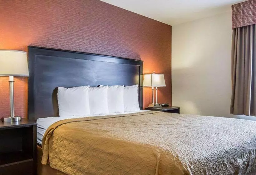 اتاق استاندارد با تخت بزرگ, Quality Inn Buellton Solvang