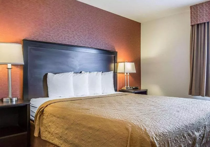 اتاق استاندارد با تخت بزرگ, Quality Inn Buellton Solvang