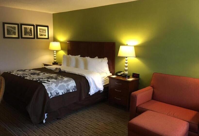 חדר סטנדרט עם מיטת קינג, Quality Inn Forsyth Near Ga Public Safety Training Center