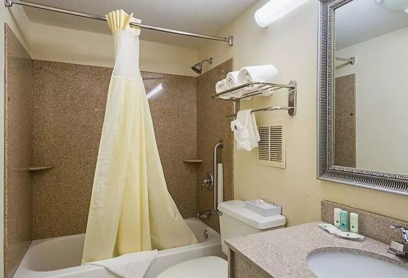 سوییت, Quality Inn & Suites Greenville Haywood Mall