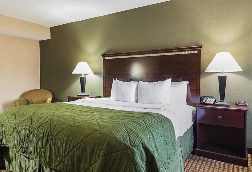 סוויטה, Quality Inn & Suites Greenville   Haywood Mall