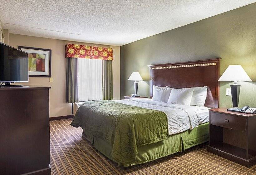 스위트, Quality Inn & Suites Greenville   Haywood Mall