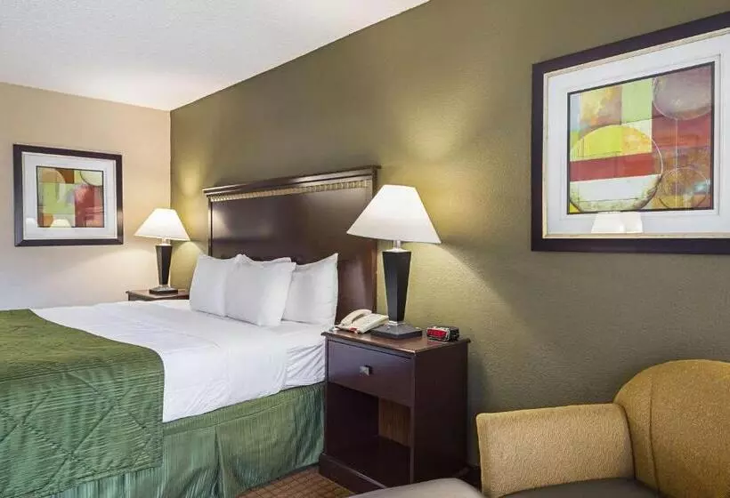 اتاق استاندارد با تخت بزرگ, Quality Inn & Suites Greenville Haywood Mall
