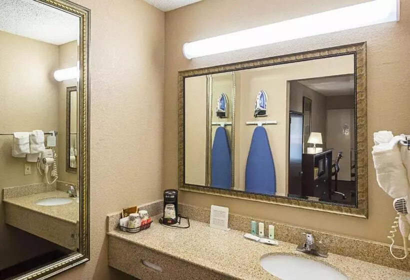 اتاق استاندارد با تخت بزرگ, Quality Inn & Suites Greenville Haywood Mall
