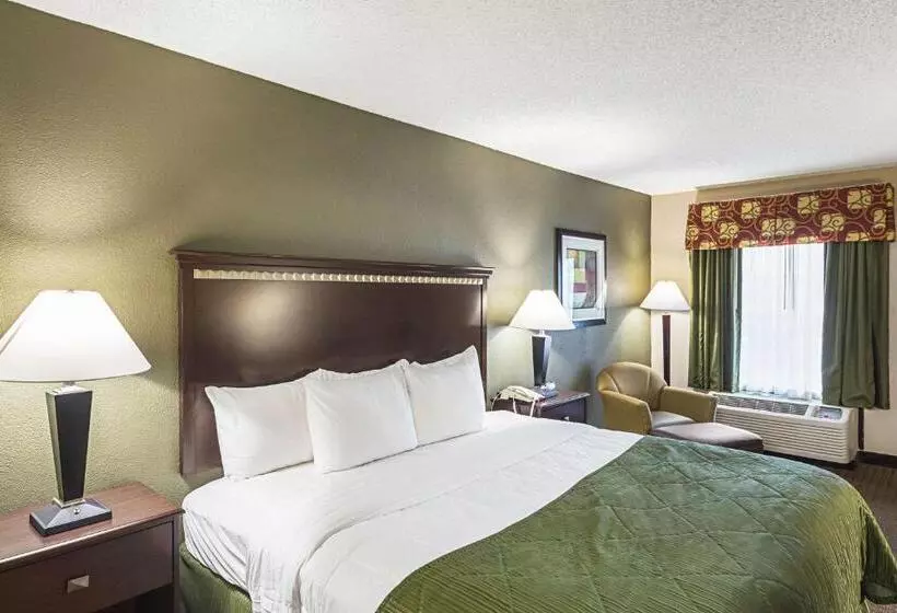 اتاق استاندارد با تخت بزرگ, Quality Inn & Suites Greenville Haywood Mall