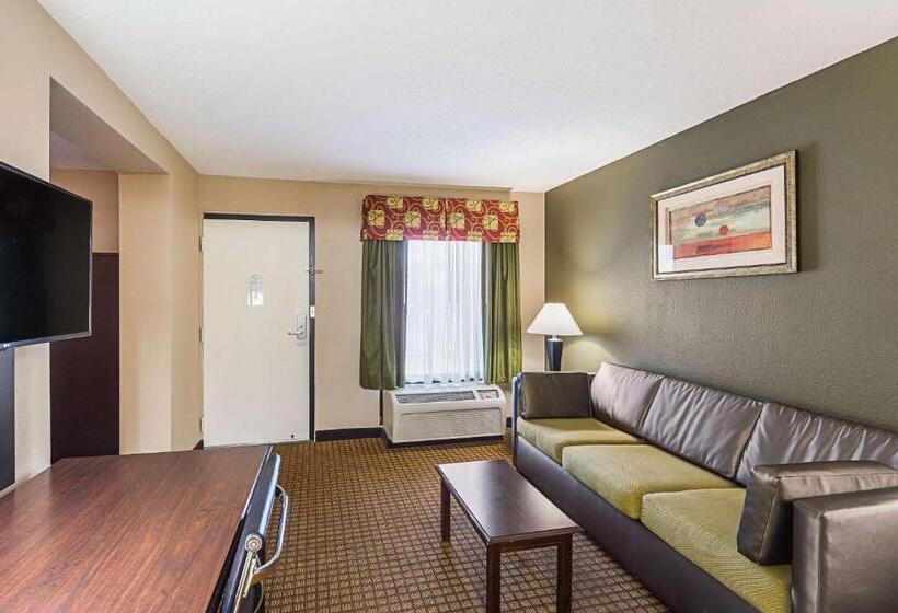 스위트, Quality Inn & Suites Greenville   Haywood Mall