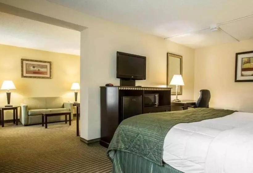 سوئیت با تخت بزرگ, Quality Inn & Suites Greenville Haywood Mall