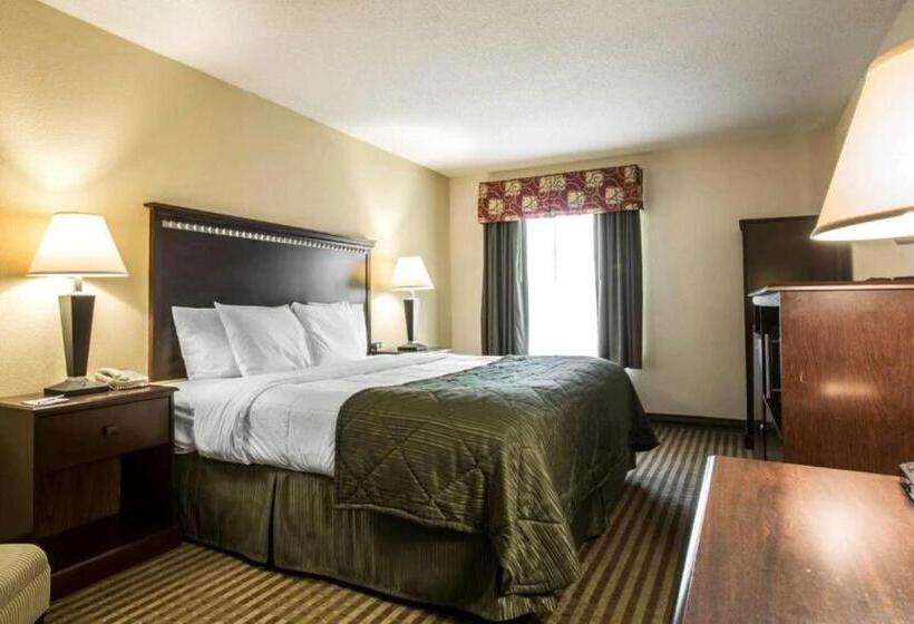 מיטת קינג בסוויטה, Quality Inn & Suites Greenville   Haywood Mall