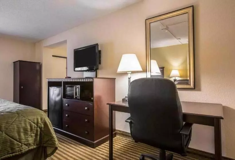 سوئیت با تخت بزرگ, Quality Inn & Suites Greenville Haywood Mall
