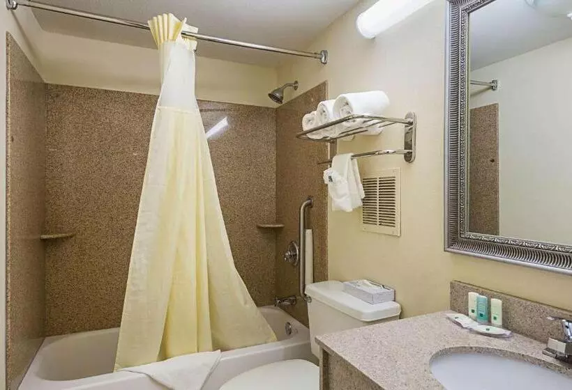 اتاق استاندارد با تخت بزرگ برای معلولان, Quality Inn & Suites Greenville Haywood Mall