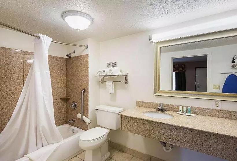 اتاق استاندارد با تخت بزرگ برای معلولان, Quality Inn & Suites Greenville Haywood Mall
