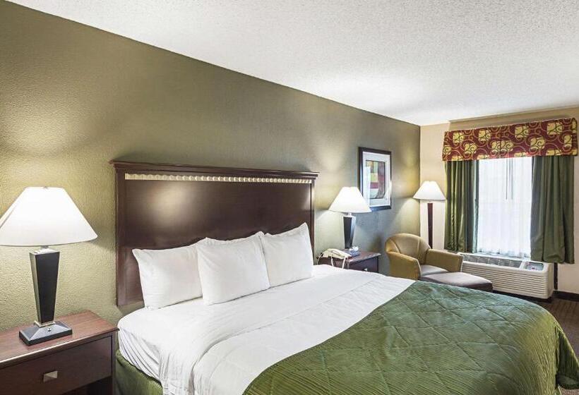 장애인을 위한 킹사이즈 침대 스탠다드 룸, Quality Inn & Suites Greenville   Haywood Mall