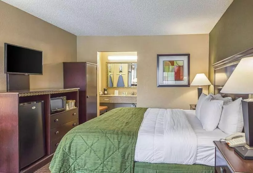 اتاق استاندارد با تخت بزرگ برای معلولان, Quality Inn & Suites Greenville Haywood Mall