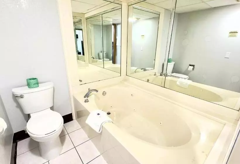 キングサイズベッドのスイートルーム, Motel 6 Dyersburg, Tn