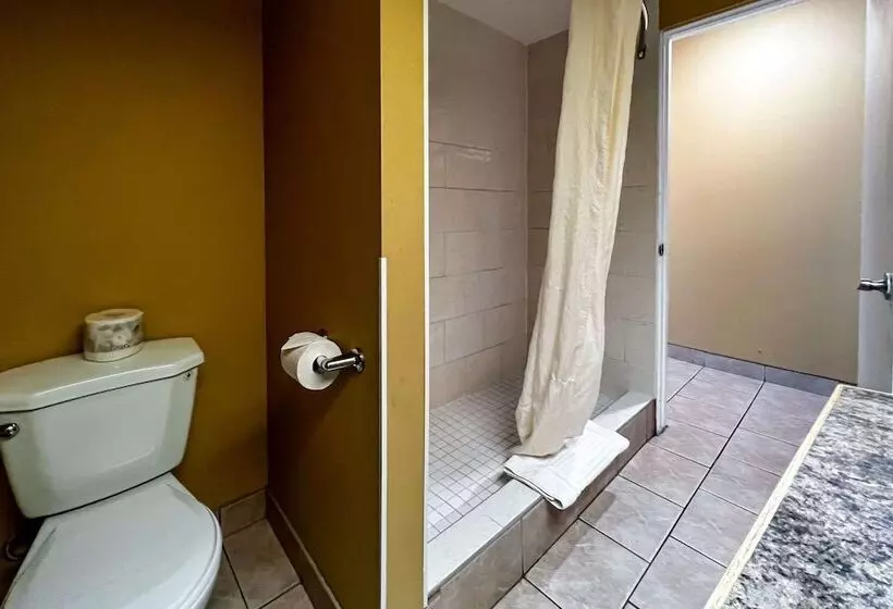 Standard-huone 2 Parivuodetta, Econo Lodge Motel Village