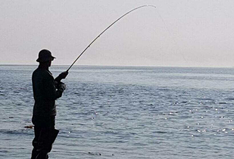 シングルデラックスルーム, Airport Inn