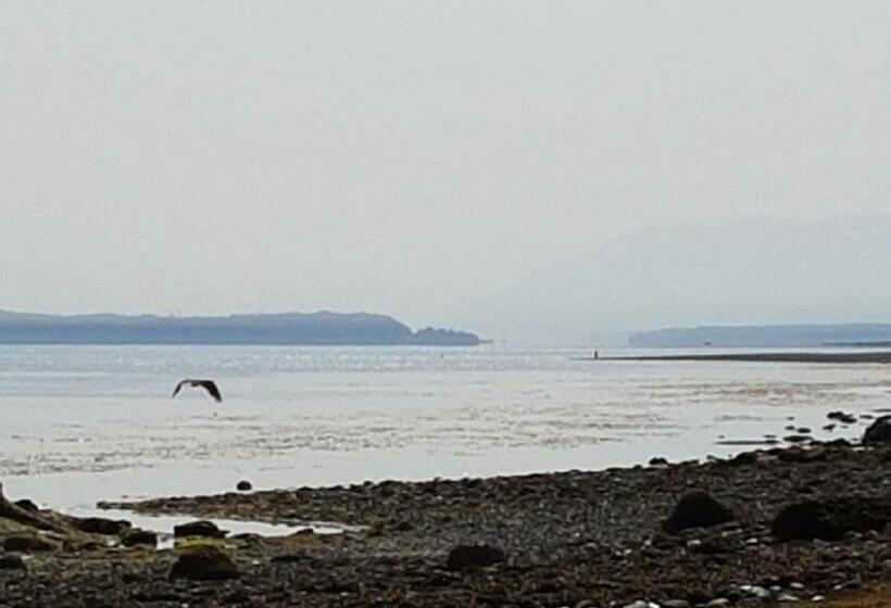 シングルデラックスルーム, Airport Inn