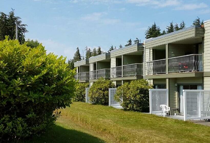 シングルデラックスルーム, Airport Inn