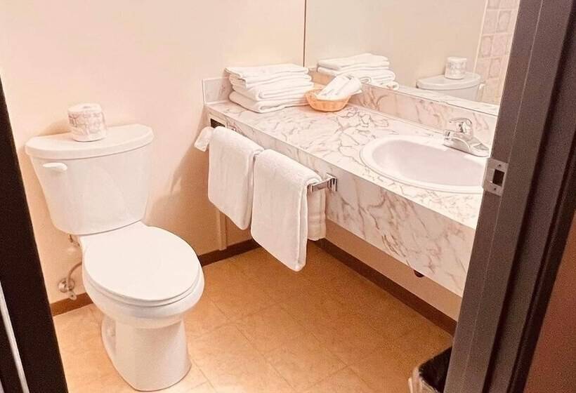 חדר דלוקס, Airport Inn