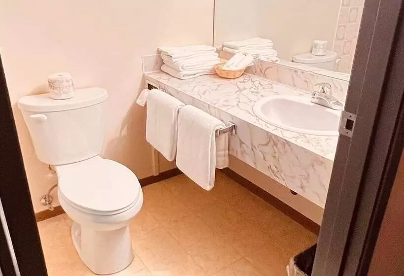 اتاق لوکس, Airport Inn