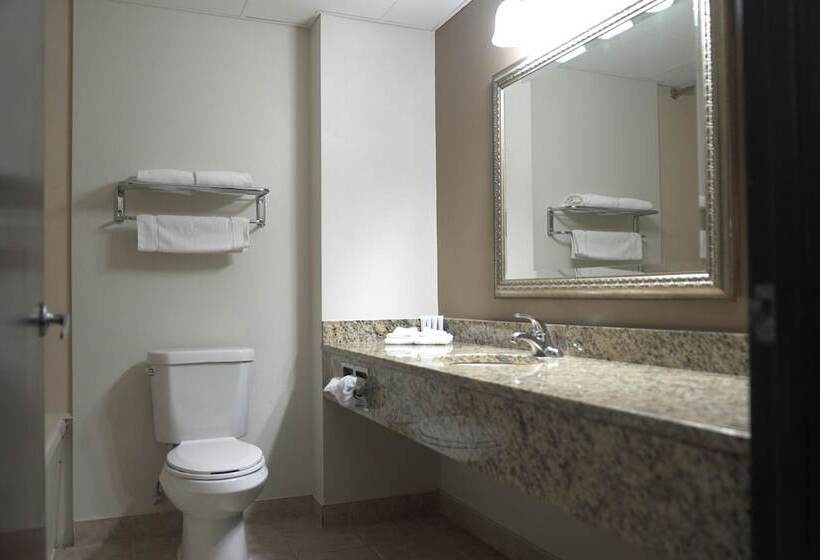 غرفة قياسية, American Inn & Suites