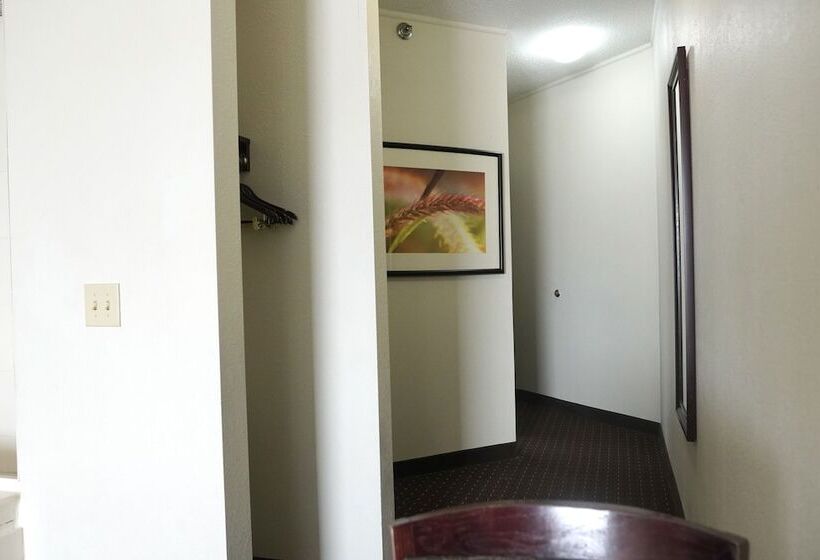 标准间, American Inn & Suites