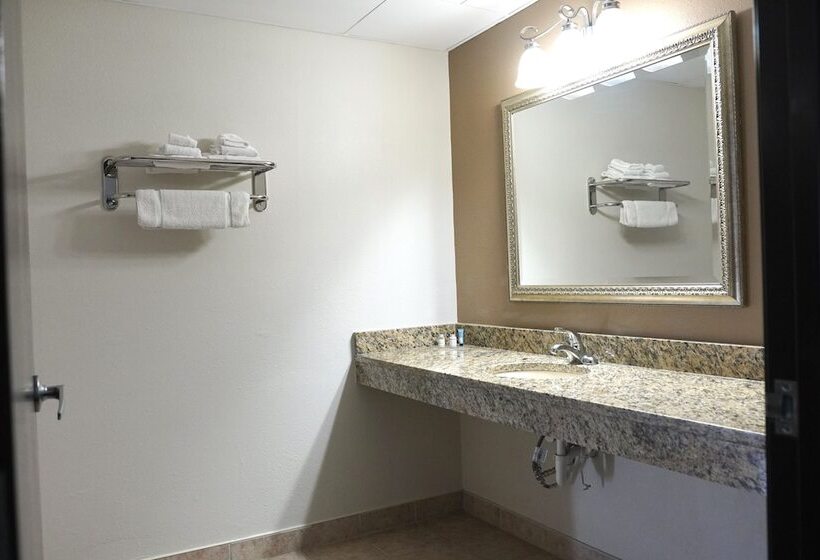 标准间, American Inn & Suites