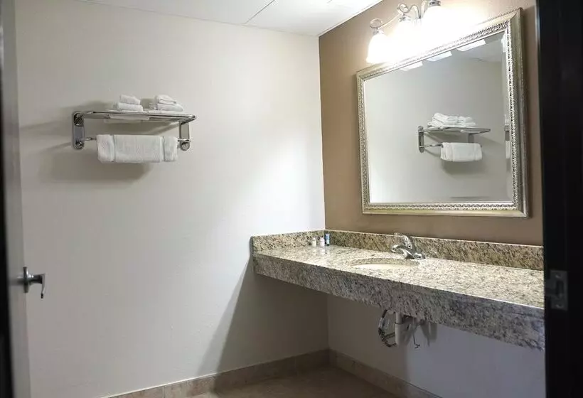 スタンダードルーム, American Inn & Suites