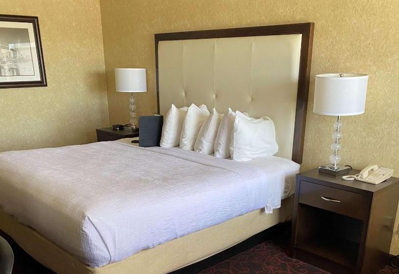 غرفة قياسية سرير كينج, Best Western Coral Hills