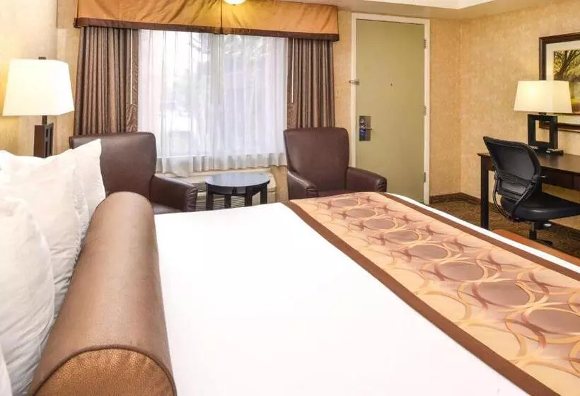 キングサイズベッドのスタンダードルーム, Best Western Coral Hills