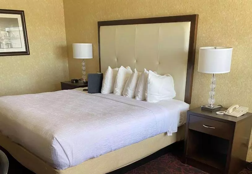 バルコニー付きスタンダードルーム, Best Western Coral Hills