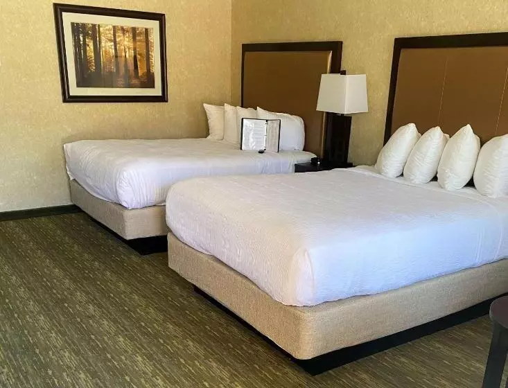 スタンダードルーム, Best Western Coral Hills