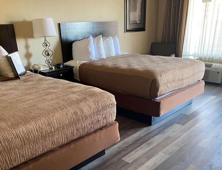 غرفة قياسية, Best Western Coral Hills