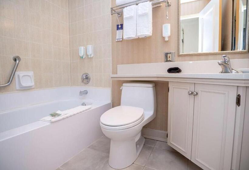 סוויטת פרמיום, Best Western Dorchester