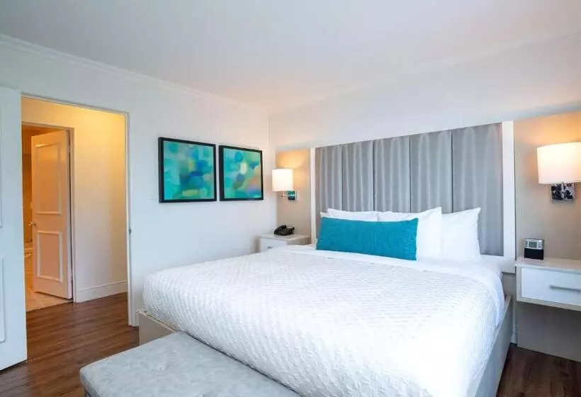 سوئیت اجرایی با تخت کینگ, Best Western Dorchester