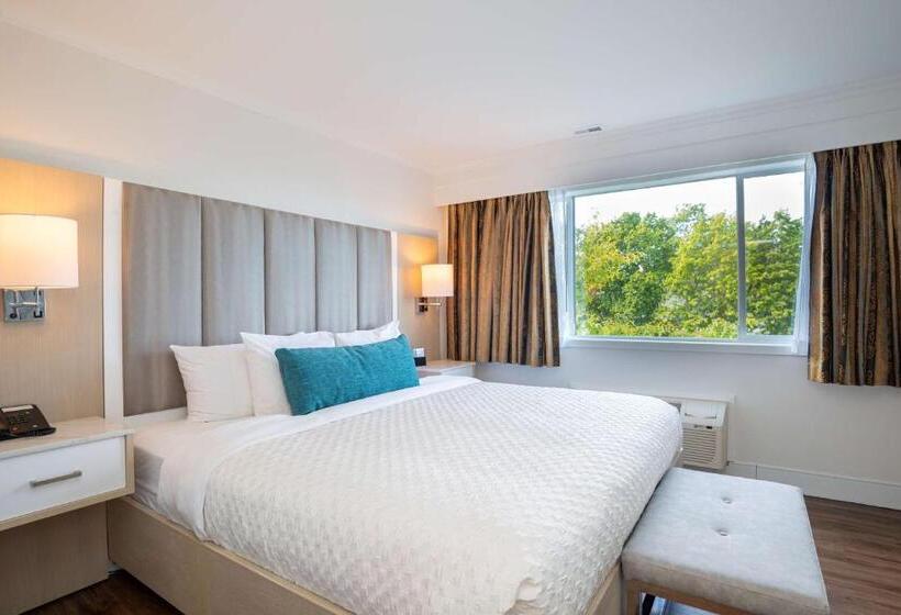 带双人大床的行政管理套房, Best Western Dorchester