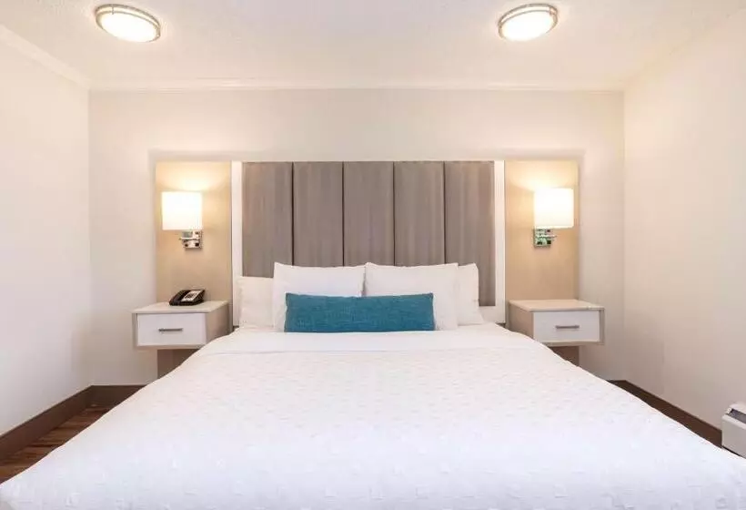 سوئیت با تخت بزرگ, Best Western Dorchester