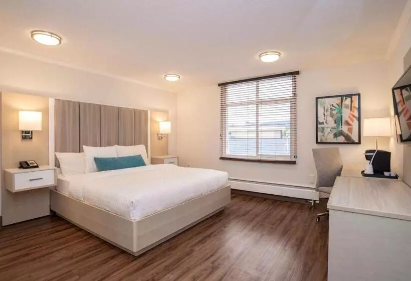 سوئیت با تخت بزرگ, Best Western Dorchester