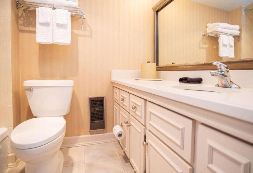 带观景的标准间, Best Western Dorchester