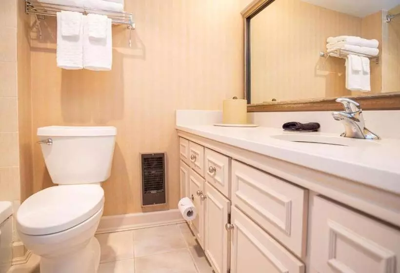 اتاق استاندارد با چشم‌انداز, Best Western Dorchester
