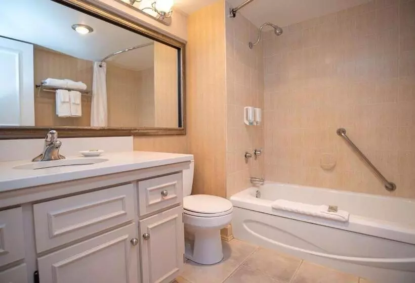 اتاق استاندارد با تخت بزرگ, Best Western Dorchester