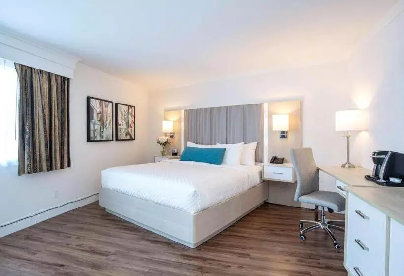 اتاق استاندارد با تخت بزرگ, Best Western Dorchester
