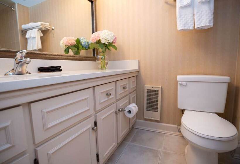 带景观的带双人床的标准间, Best Western Dorchester